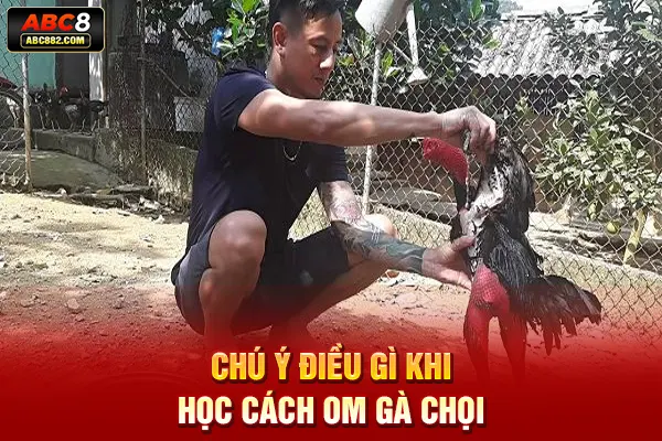 Chú ý điều gì khi học cách om gà chọi
